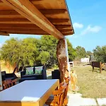 Cortesas - Villini Indipendenti In Mezzo Campagna E A Pochi Chilometri Da Alpstuga